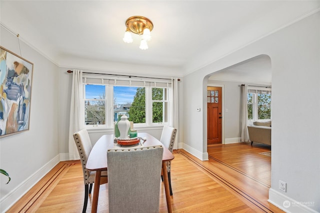 dining area with light hardwood / wood-style flooring, crown molding, and plenty of natural light