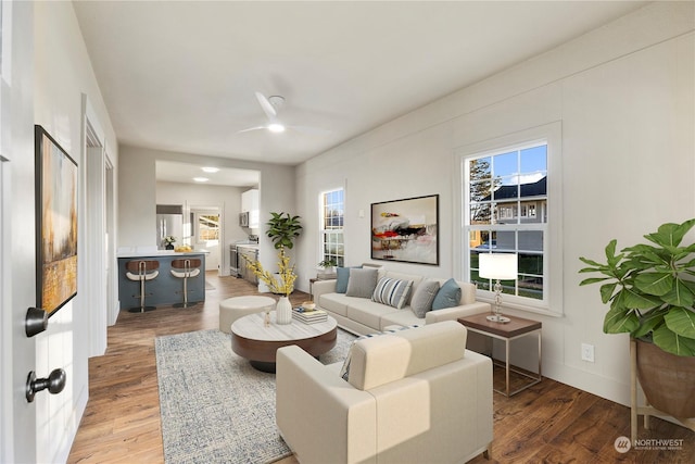 living room with ceiling fan and hardwood / wood-style floors