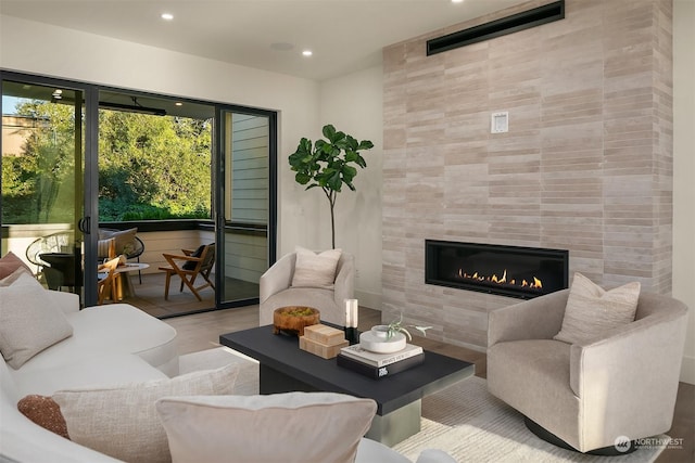 living room featuring a fireplace and light wood-type flooring