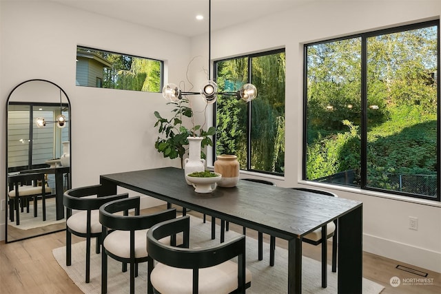 dining room featuring light hardwood / wood-style floors