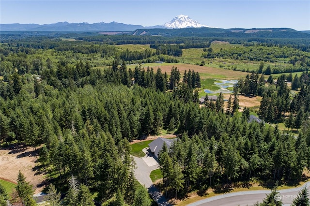 aerial view featuring a mountain view