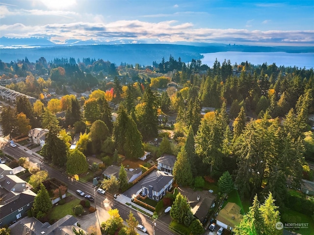 drone / aerial view featuring a mountain view