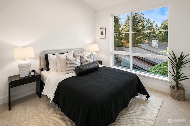 bedroom with light colored carpet