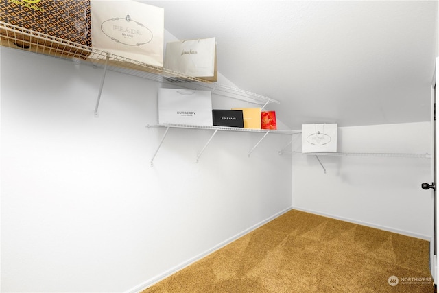 spacious closet featuring carpet and lofted ceiling