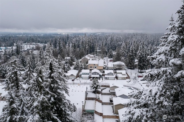 view of snowy aerial view