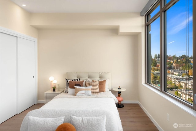 bedroom with hardwood / wood-style flooring and a closet