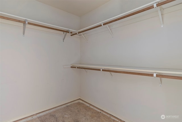 view of spacious closet