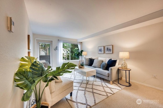 living room featuring light colored carpet