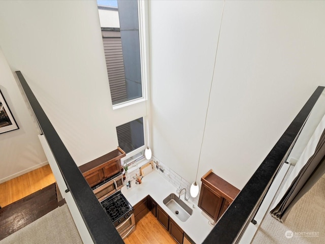 details with sink and hardwood / wood-style flooring