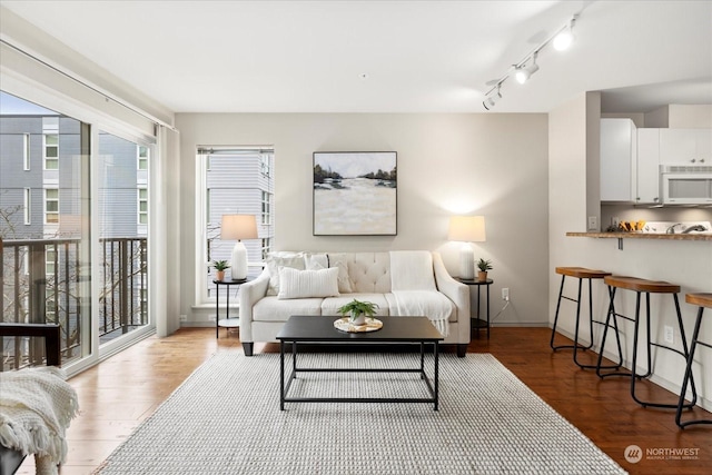 living room featuring hardwood / wood-style floors