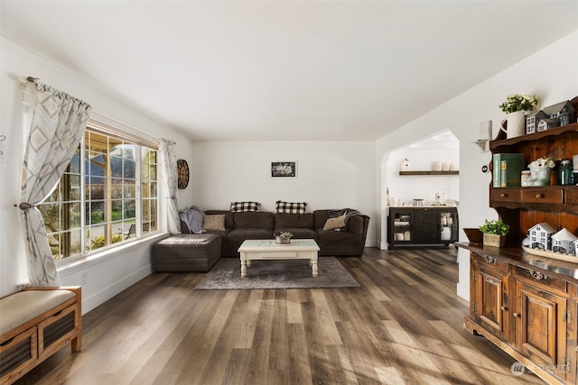 living room featuring dark hardwood / wood-style flooring and plenty of natural light