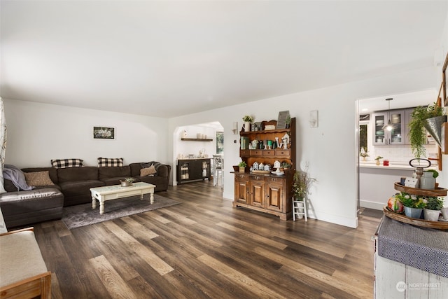 living room featuring dark hardwood / wood-style floors