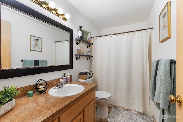 bathroom with toilet and vanity