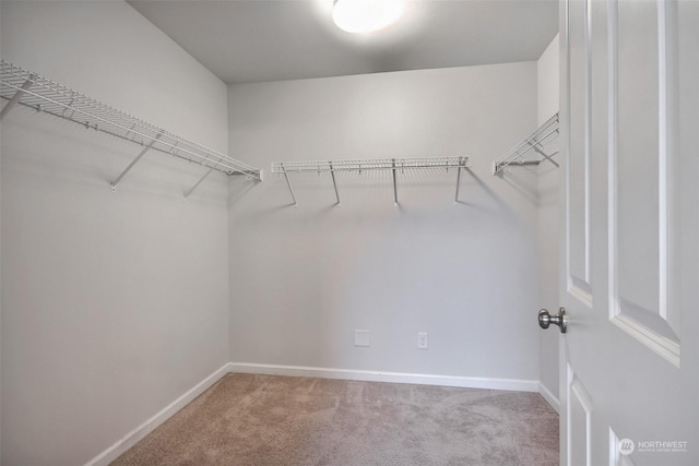 spacious closet with carpet flooring