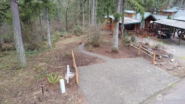 view of yard featuring covered porch