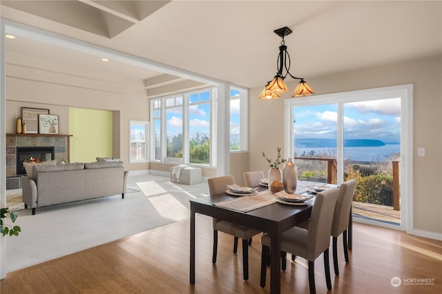 dining room featuring a mountain view, a fireplace, and light hardwood / wood-style flooring