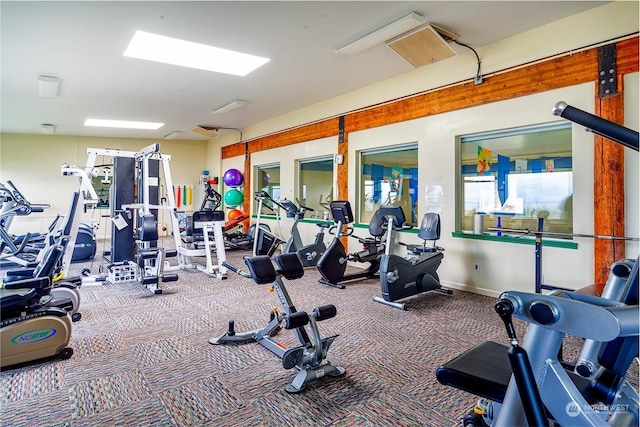 exercise room featuring carpet floors