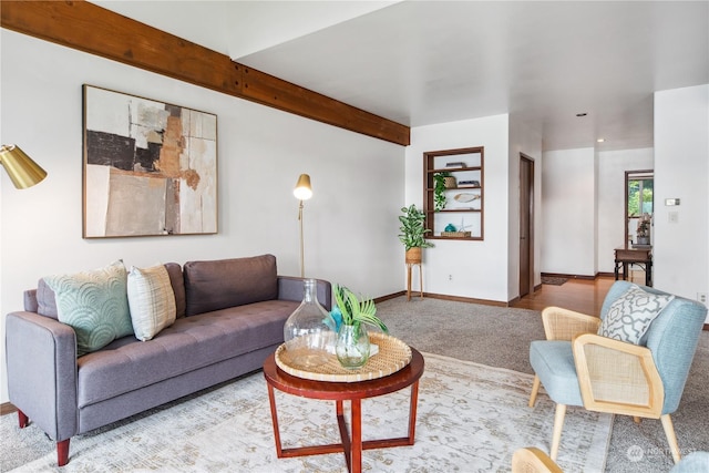 living room featuring built in features and carpet