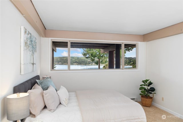 bedroom featuring multiple windows, a baseboard heating unit, carpet floors, and a water view