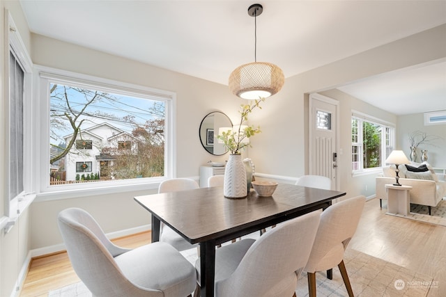 dining area with light hardwood / wood-style flooring