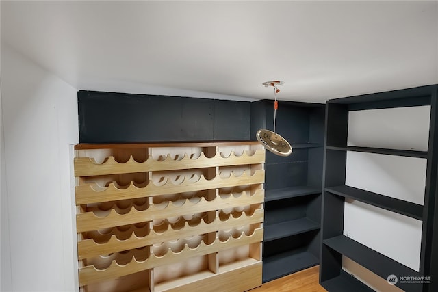 wine cellar featuring wood-type flooring