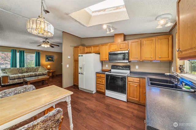 kitchen with a skylight, sink, dark hardwood / wood-style flooring, white appliances, and a textured ceiling