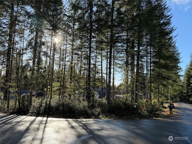 0 Blackberry Ln, Union WA, 98592 land for sale