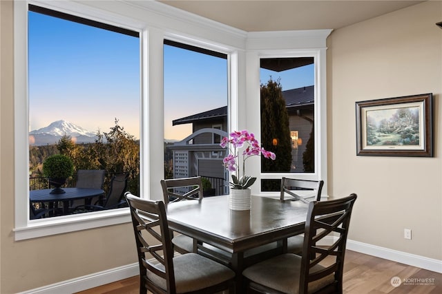 dining area with a mountain view and hardwood / wood-style floors