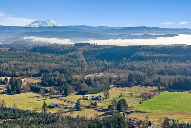 drone / aerial view with a mountain view