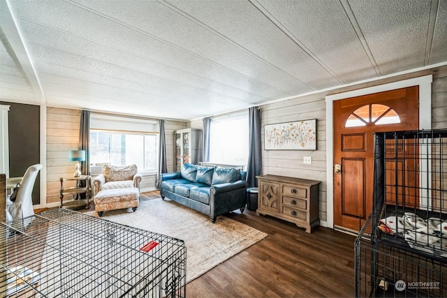 living room featuring dark wood-type flooring, a textured ceiling, and wooden walls