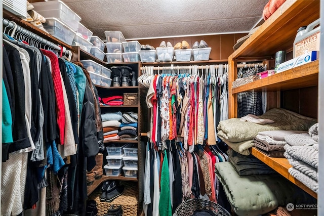 view of spacious closet