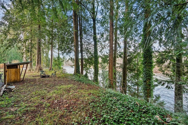 view of yard with a water view