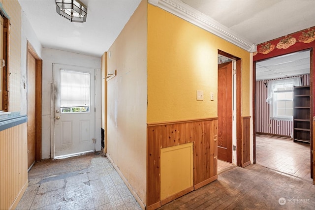 corridor featuring wood walls and a wealth of natural light