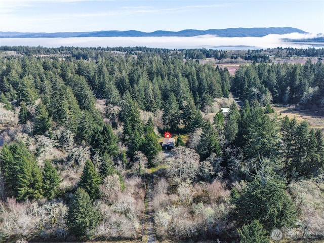 bird's eye view featuring a forest view and a mountain view