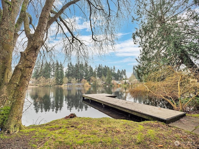 view of dock with a water view