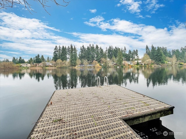 dock area featuring a water view