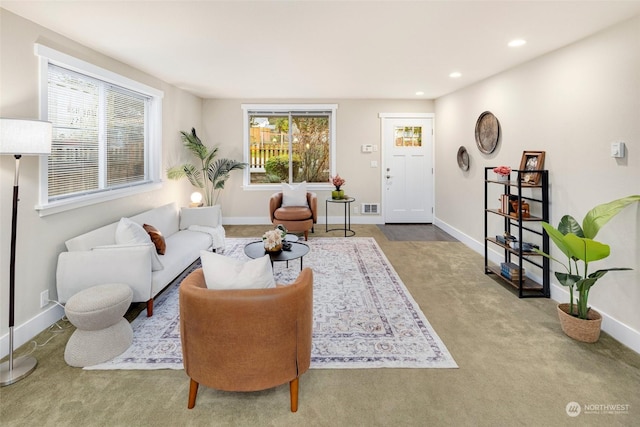 living room featuring a wealth of natural light and carpet