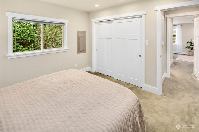 bedroom featuring electric panel, a closet, and light carpet