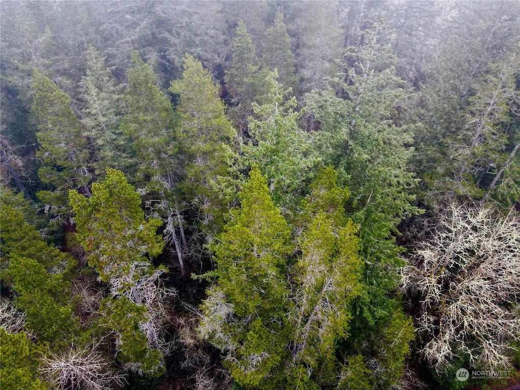 0 Pine Tree Rd, Toledo, WA 98591 - photo 2