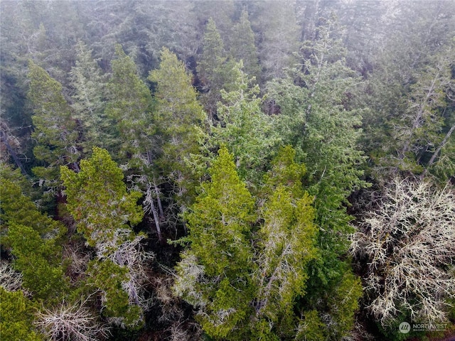 0 Pine Tree Rd, Toledo, WA 98591 - photo 2