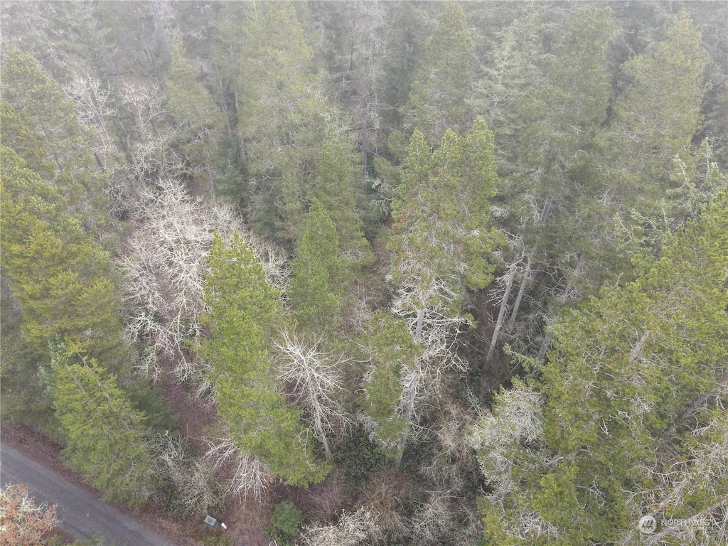 0 Pine Tree Rd, Toledo, WA 98591 - photo 1