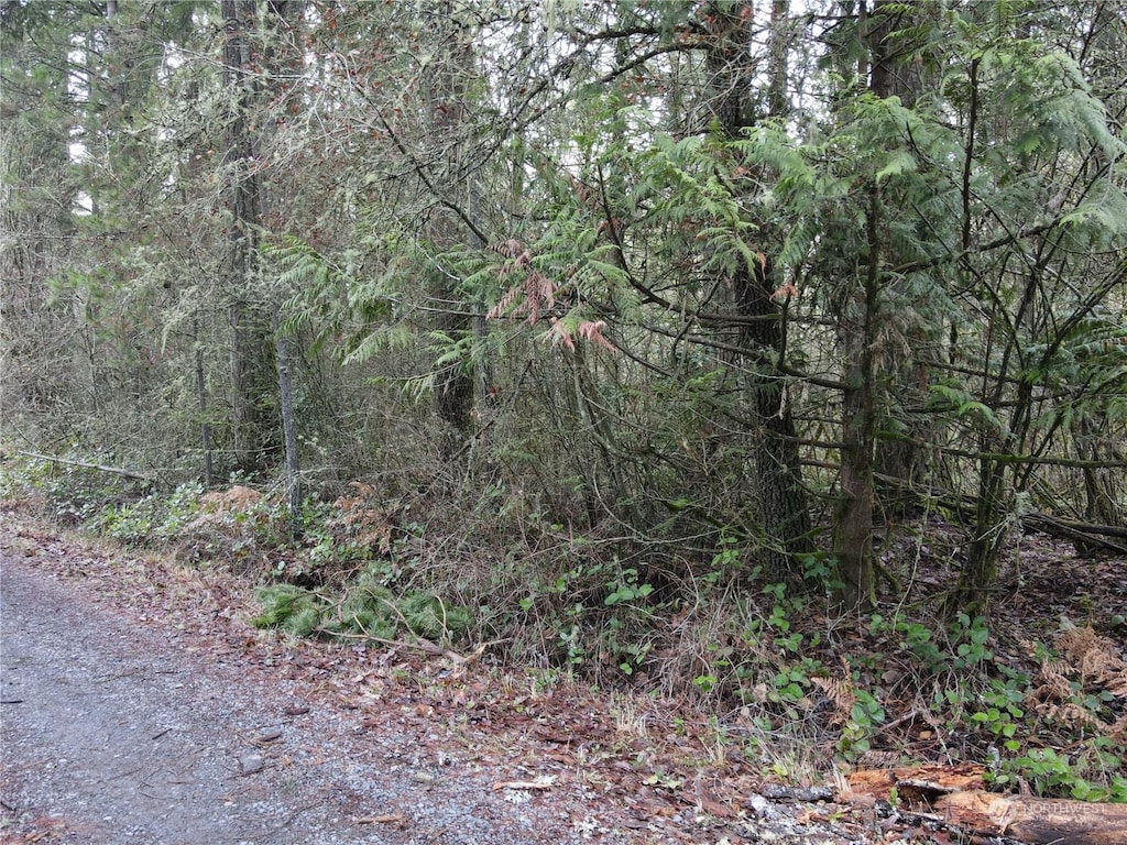 0 Pine Tree Rd, Toledo, WA 98591 - photo 3