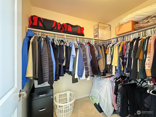 walk in closet featuring carpet floors