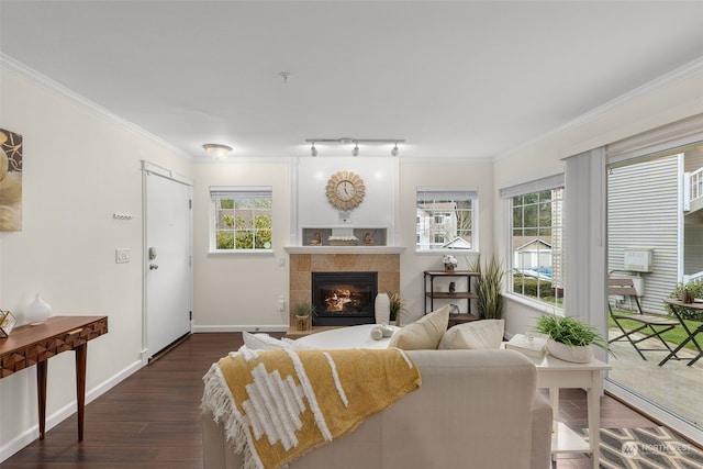 living room with dark hardwood / wood-style flooring, crown molding, a tiled fireplace, and rail lighting