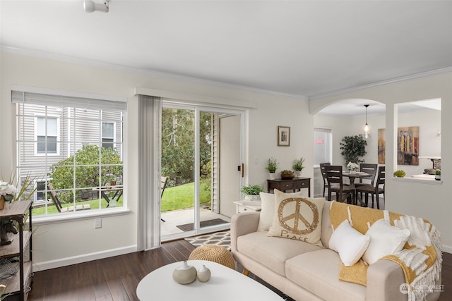 living room with dark wood-type flooring and crown molding