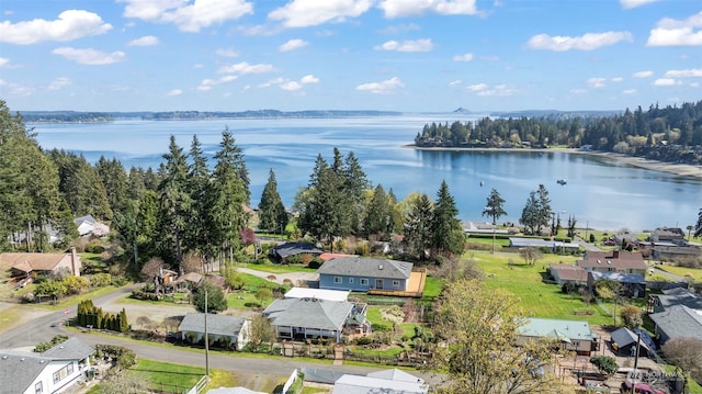 bird's eye view featuring a water view