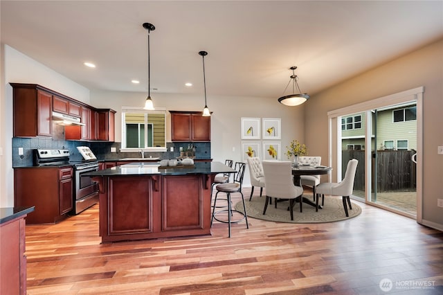 kitchen featuring light wood-type flooring, pendant lighting, stainless steel electric stove, and a healthy amount of sunlight