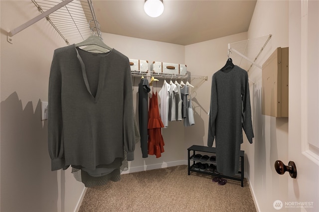 walk in closet with carpet