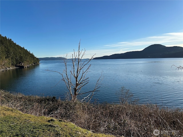 water view with a mountain view