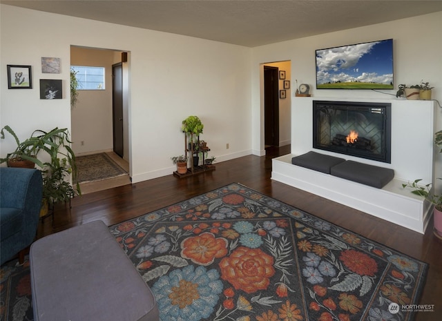 living room featuring dark wood-type flooring